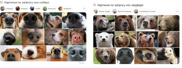 Кружкин и медведь