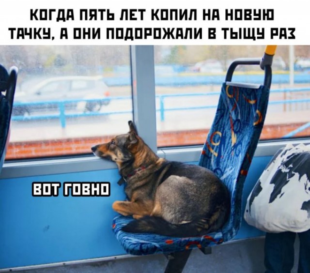 Так себе картинки 19.03.22