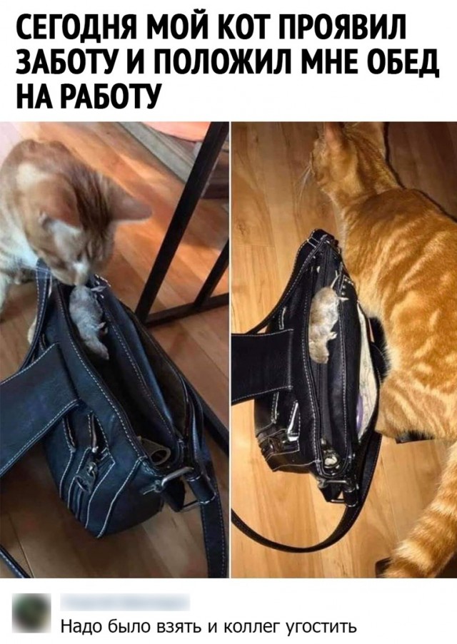 Так себе картинки 20.03.22