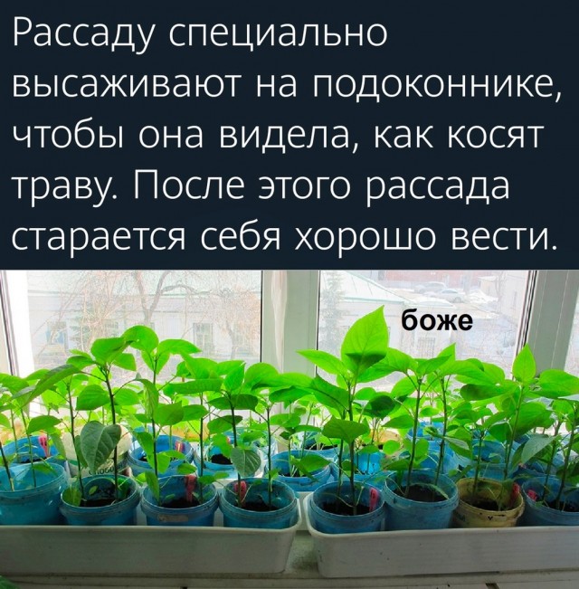 Так себе картинки 08.05.22