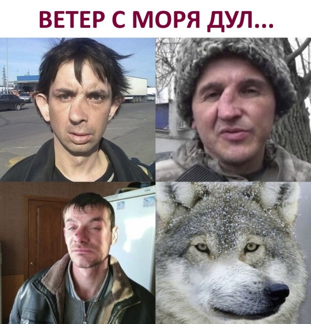 Так себе картинки 06.06.22