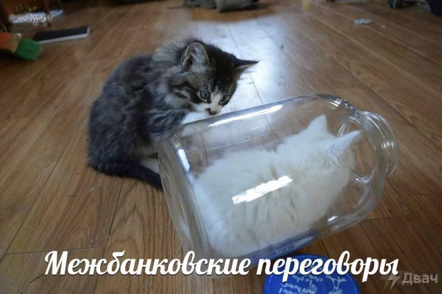 Картинки и мемы, всем хороших выходных