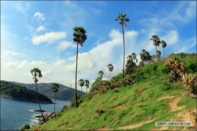 Такой разный остров Самуи