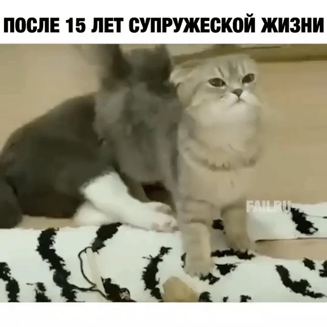 Юмор в картинках и без