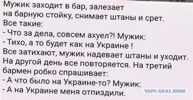 Кадыров попросил Путина дать возможность быстро закончить спецоперацию