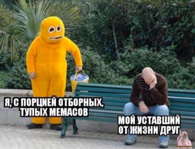 Весёлый полтишок 30.11.22