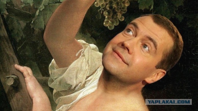 Медведев призвал Великобританию вернуть Фолклендские острова Аргентине