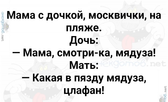 Немного картинок для настроения/постпраздничное