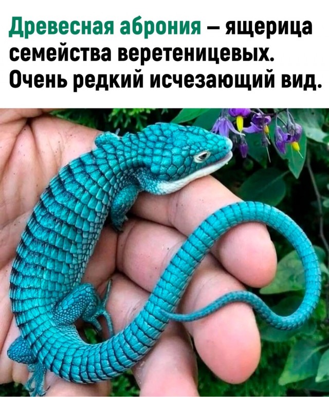Картинки и мемы для настроения - 131