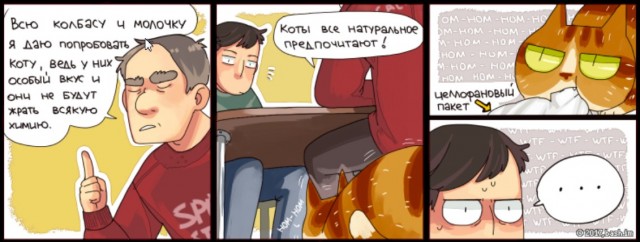 Забавные комиксы о реалиях жизни с кошкой