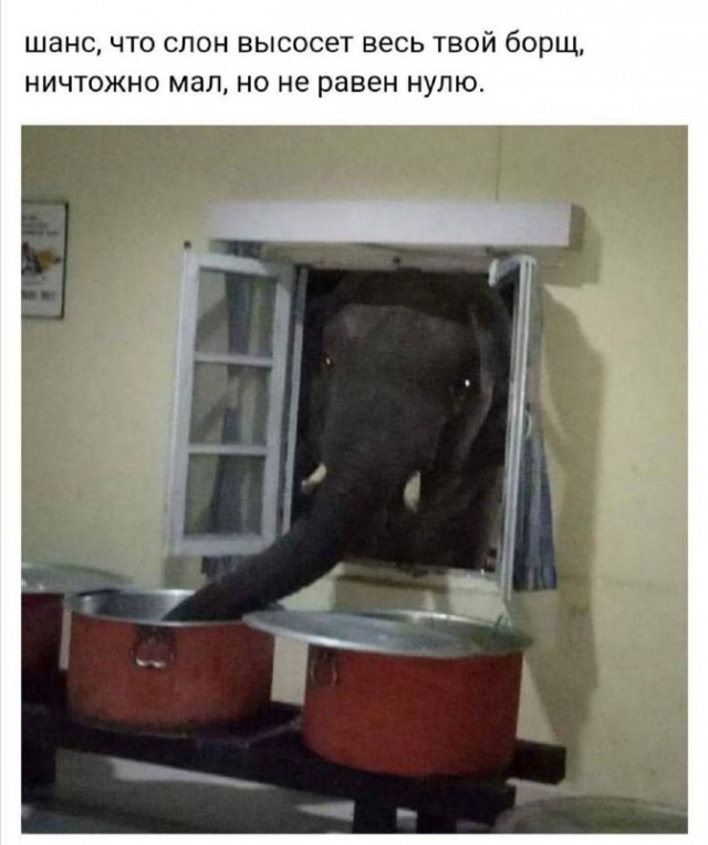 Весёлый полтишок 11.08.23