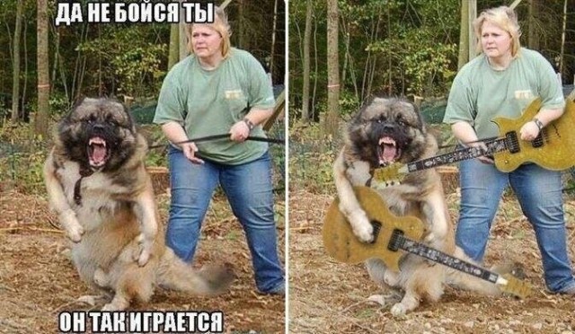 Люди их боятся, но они совершенно безобидные