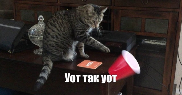 Кто-то явно получит по наглой мохнатой жопе