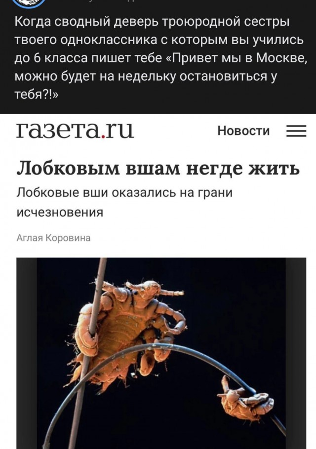 Можно ли женатому мужчине дружить с одинокими голодными до отношений девушками? Дайте совет. История всей жизни