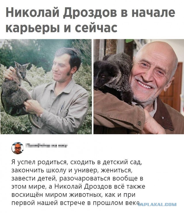 Николай дроздов биография причина смерти личная жизнь Николай Дроздов госпитализирован в Москве. У телеведущего - осложнения на фоне б