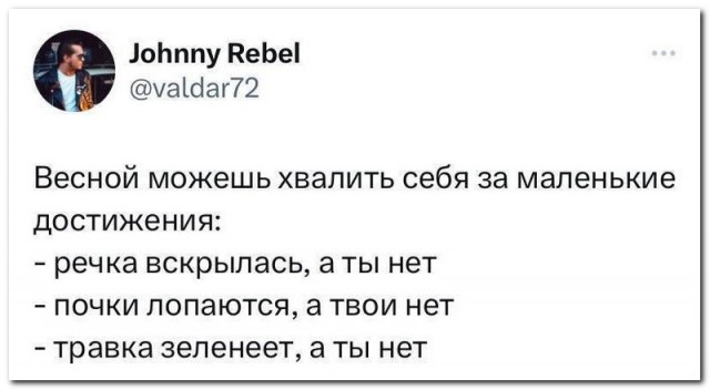 Забавные комментарии из социальных сетей (15.04.24)