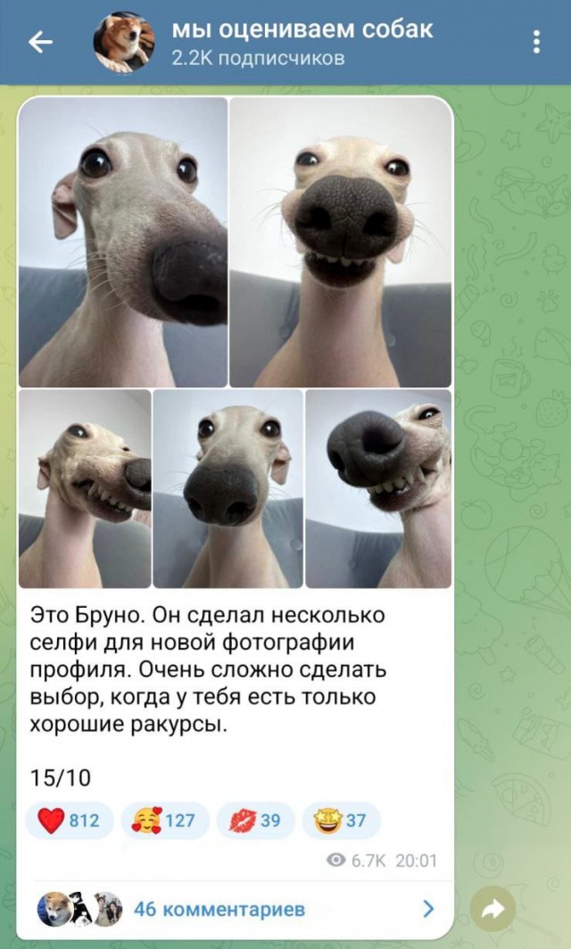 Так себе картинки 17.04.24