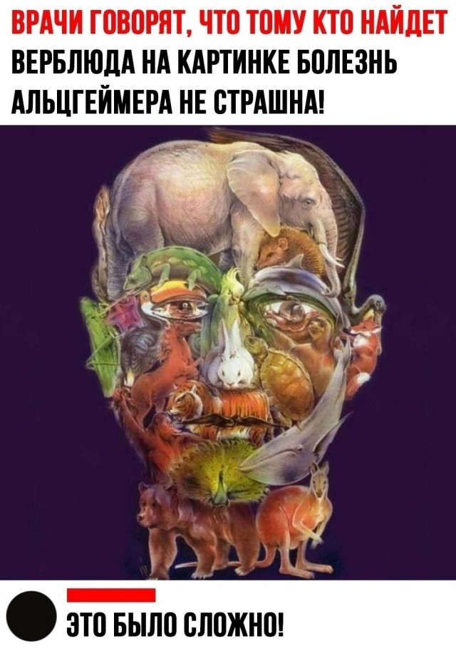 Так себе картинки 24.05.24