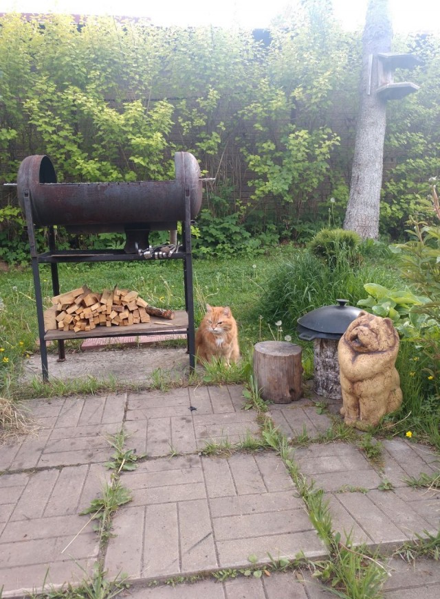 Доброе утро