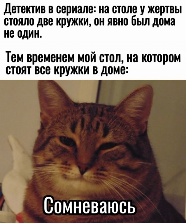 Весёлый полтишок 26.07.24