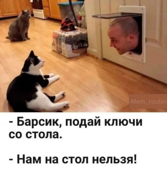 Завалялось тут случайно немного забавных картинок
