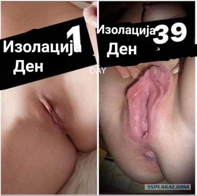 Сколько-то картинок