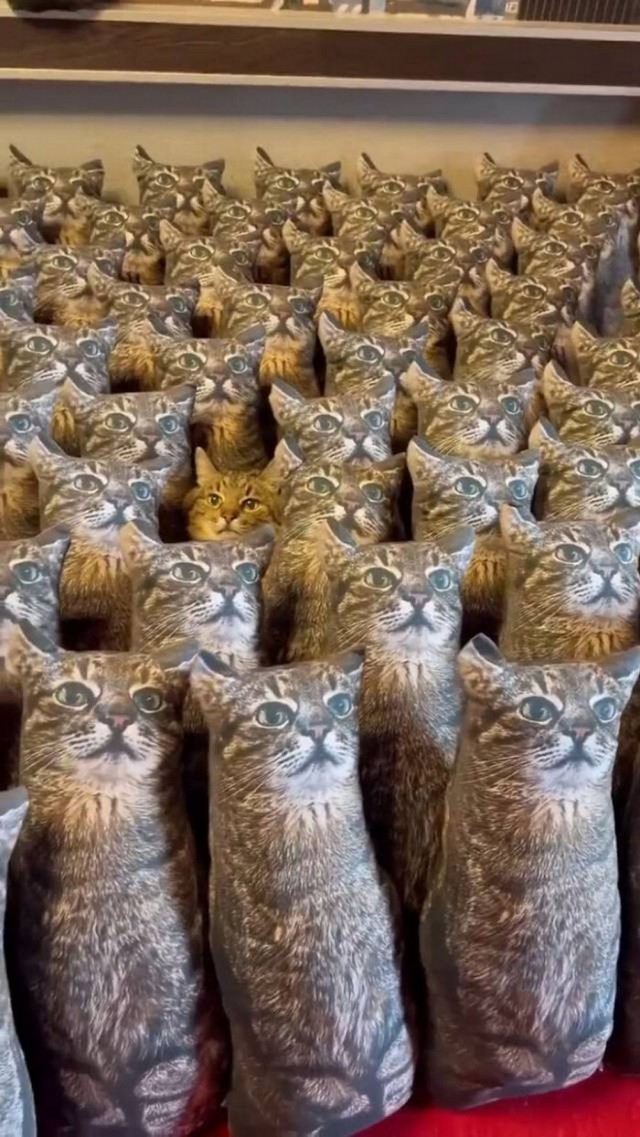 Картинки разные с надписями и без