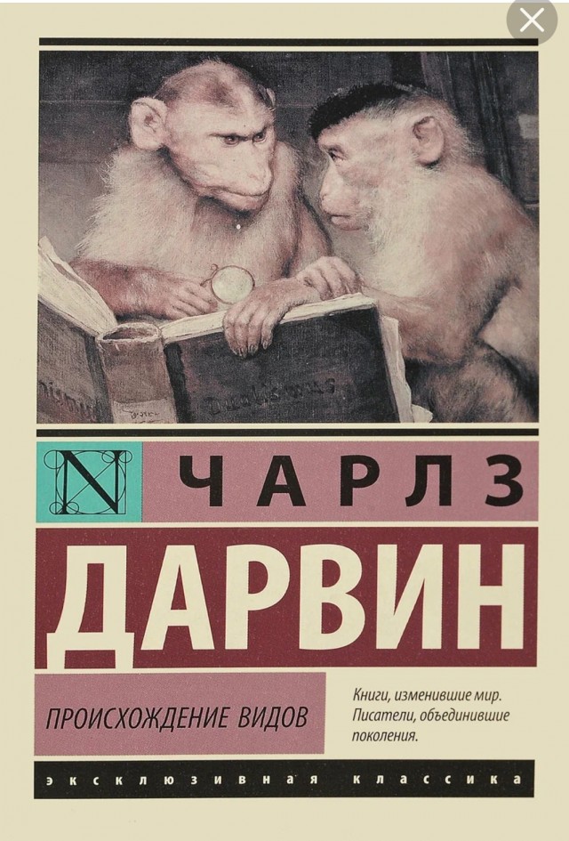 Вынес с подъезда сундук соседа для картошки от которого стоял стойкий запах квашенной капусты и еще подгнившей моркови