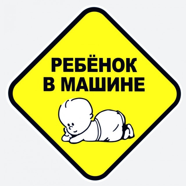 В Москве 80-летняя пенсионерка случайно постирала свою кошку