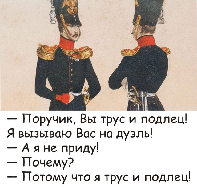 Весёлый полтишок 08.01.25