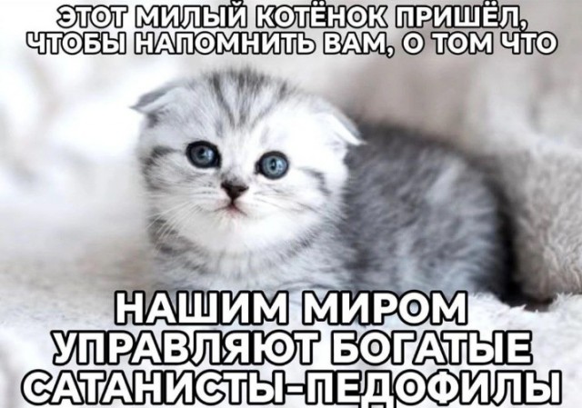 Всего понемногу. От 17.01.2025