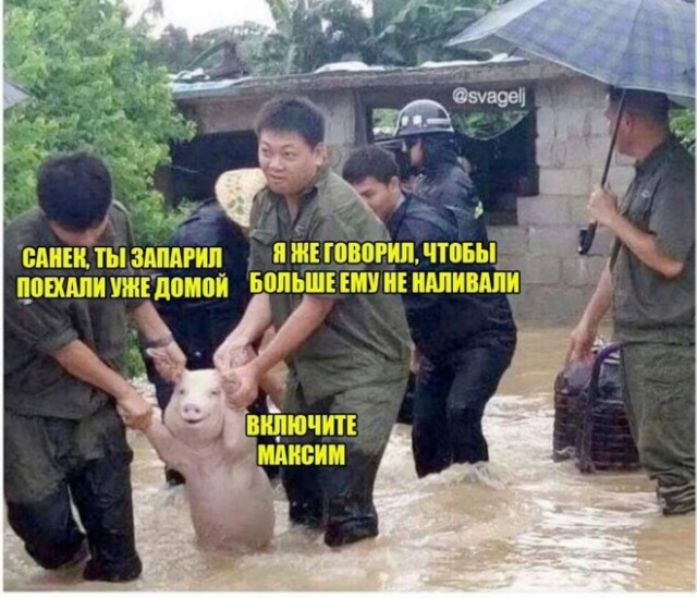 Веселые картинки в последний день марта (31.03)