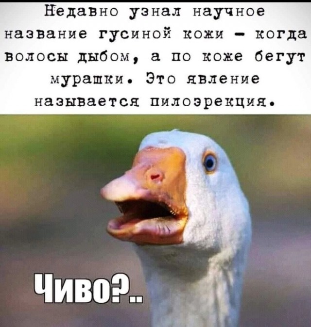 20087341.jpg