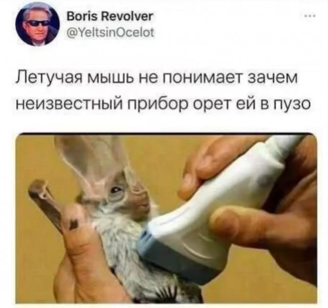 Завалялось тут случайно немного забавных картинок