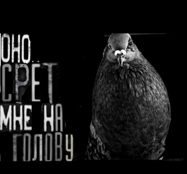 Воскресенье, а значит