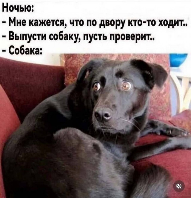 Картинки для деградации 25 (разной степени свежести)