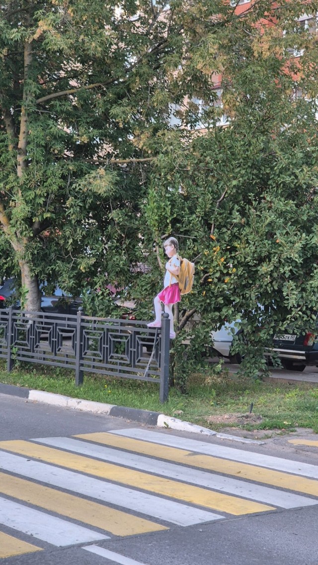 Мальчик, который кричал "волки!"