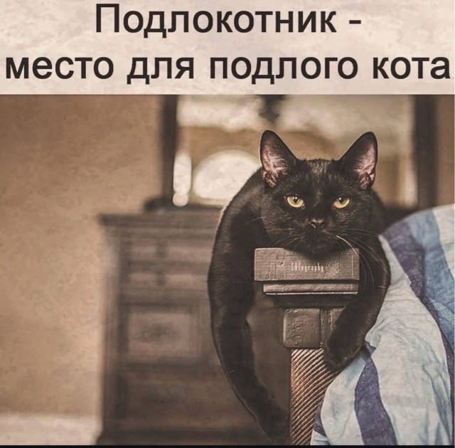 Картинки для деградации 45 (разной степени свежести)