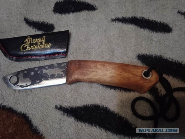 Кошачий нож