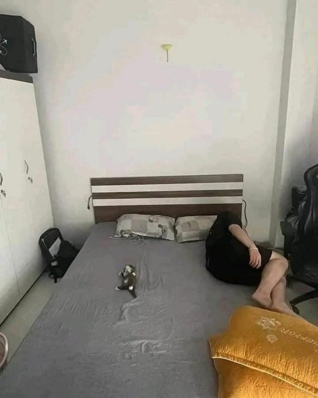 Напомню