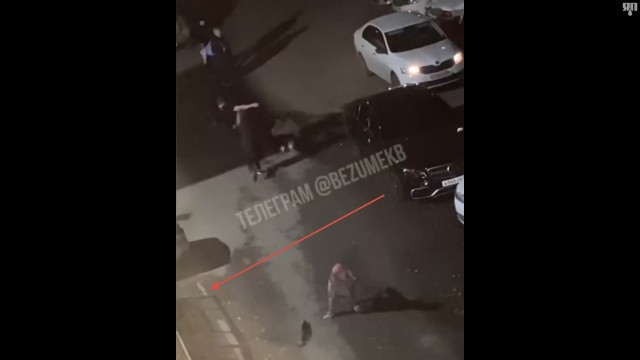 В Екатеринбурге дикарь жестоко избил пенсионерку и её внука, потому что ему показалось, что они потрогали его машину