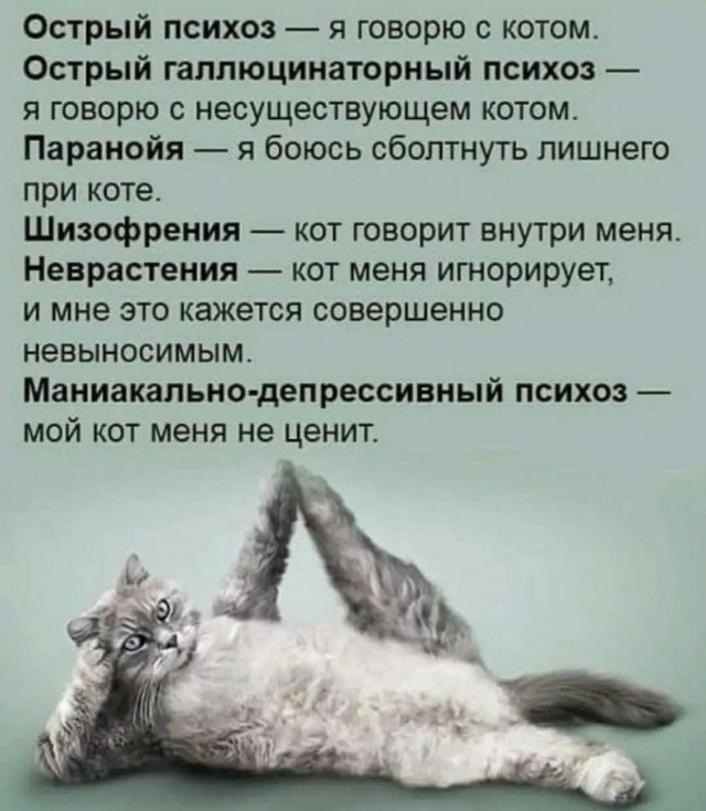 Веселые картинки в понедельник (17.12)