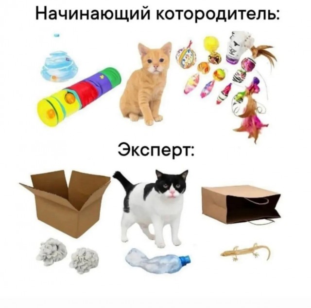 Розы гибнут на газонах...