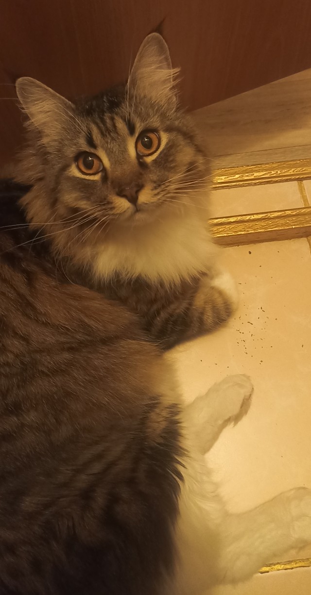 Никому не здрасте