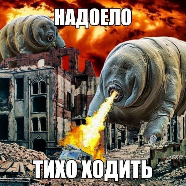 Пройдусь по абрикосовой, сверну не деградантную