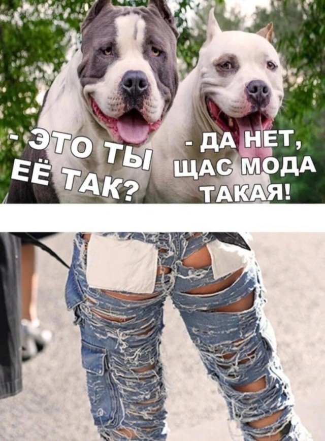 Картиночки, баянчики 15 февраля