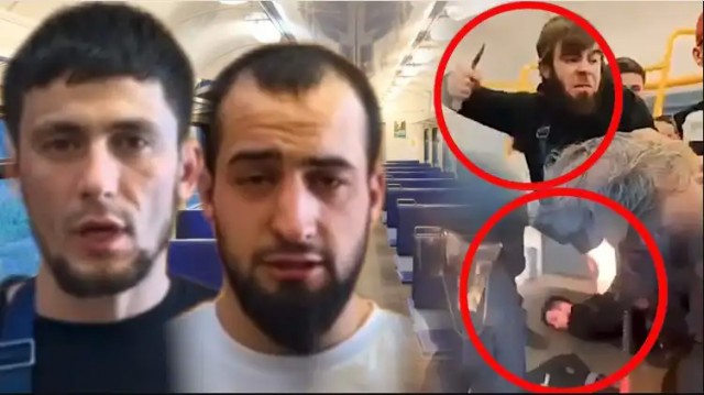 Безбилетники в ФРГ смогут не платить за проезд из-за расправы над контролером