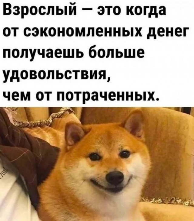Среды картинки