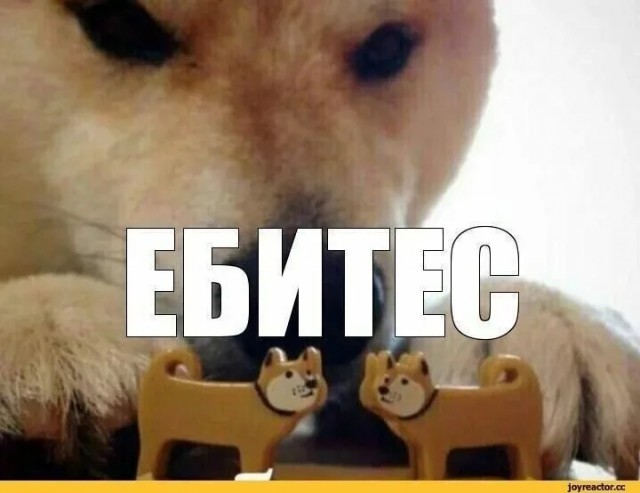 Вот почему китайцы вымирают