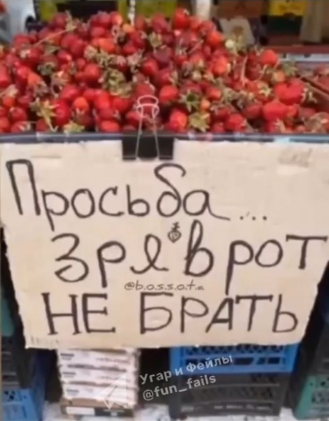 Картинки для деградации 200 (разной степени свежести)